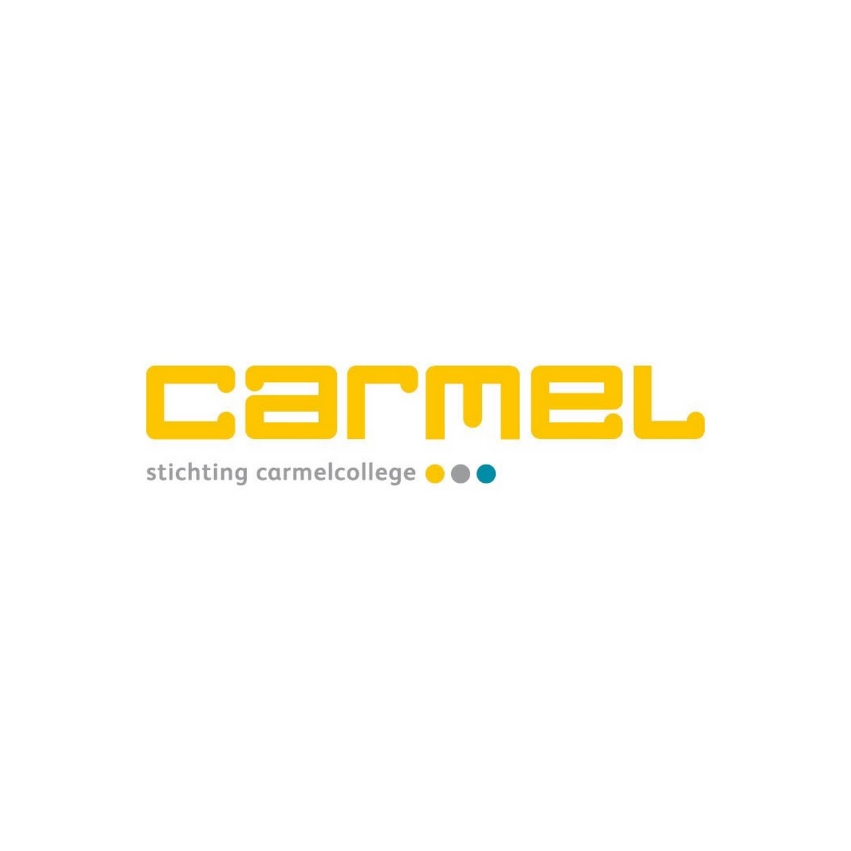 Gesprekken applicatie bestuursbureau Stichting Carmel College